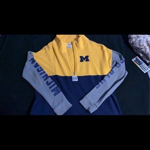 michigan Pink Hoodie